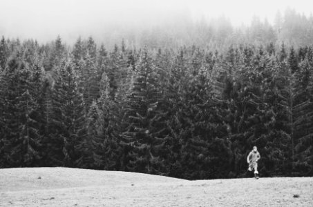 France, Domaine du mont d arbois, Meg ve