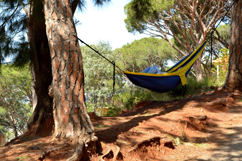 Lebanon, Nature, Break