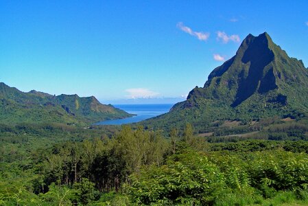 Society sland tropical photo