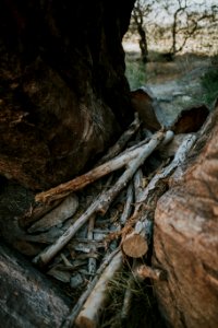 Indian reservation, Trees, Southern california photo