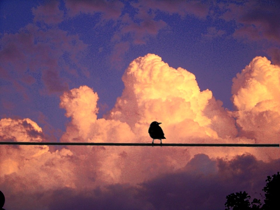 Carbon cliff, United states, Cumulus
