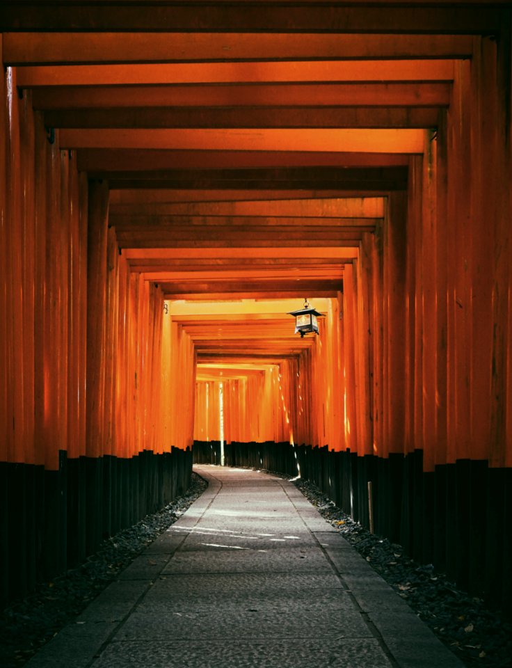 close up photography of empty brown and black tunnel photo