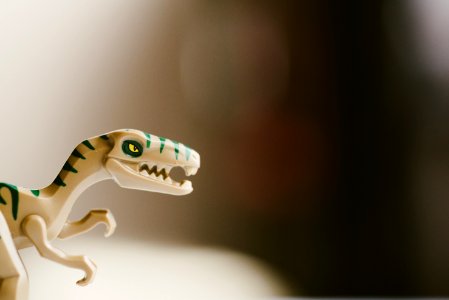 A toy dinosaur. photo