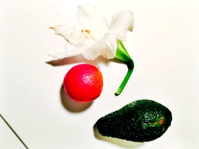 Orange, Avocado, Flower