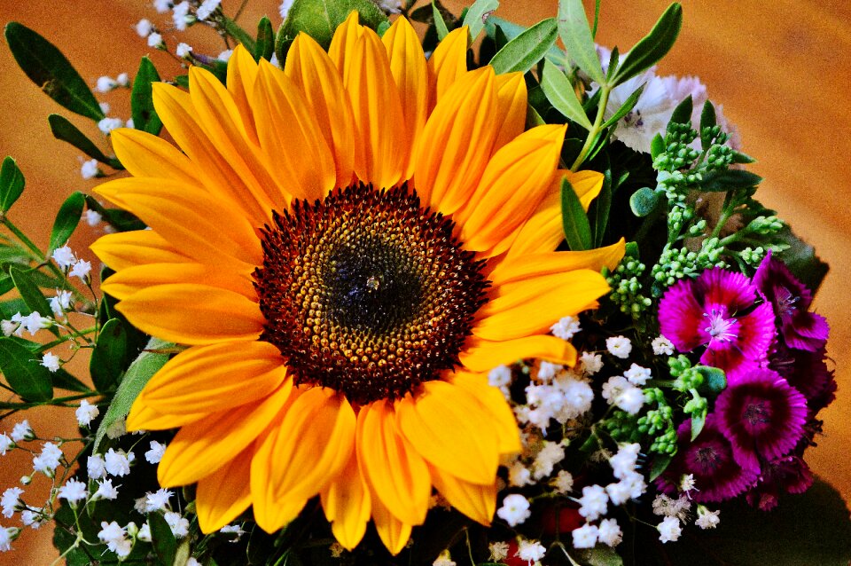 Summer plant flowers