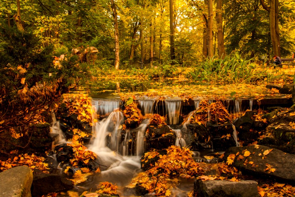 waterfalls in forest