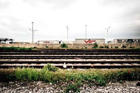 Italy, Trieste, Train photo