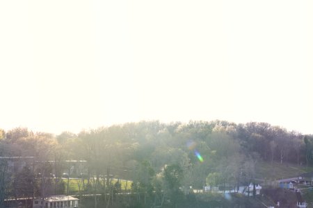 Cars, Sun, Sunshine