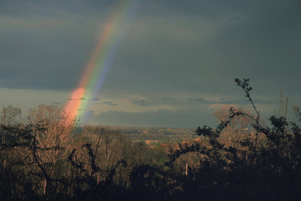 Sign of god, Colors, Perfect timing