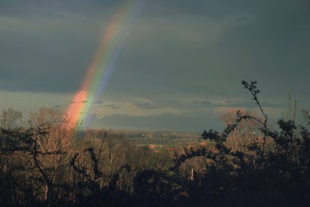 Sign of god, Colors, Perfect timing
