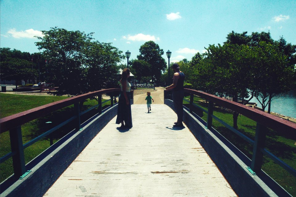 River, Trees, Bridge