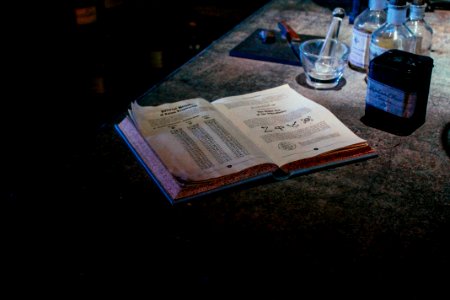 Severus, Potter, Book