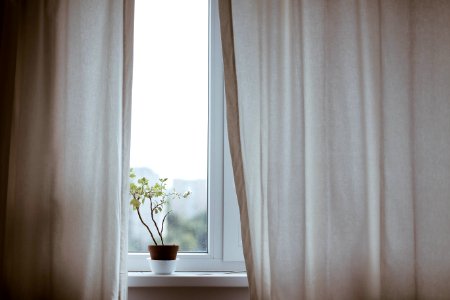 potted plant on window with curtain photo