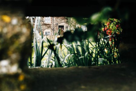 Bibury, United kingdom, Wallpaper