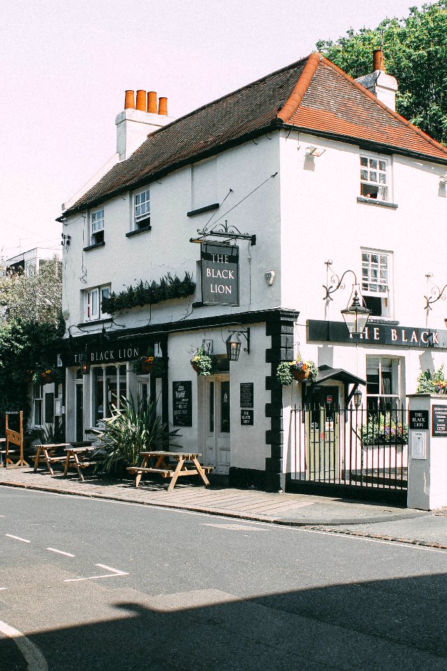 House, London, The black lion