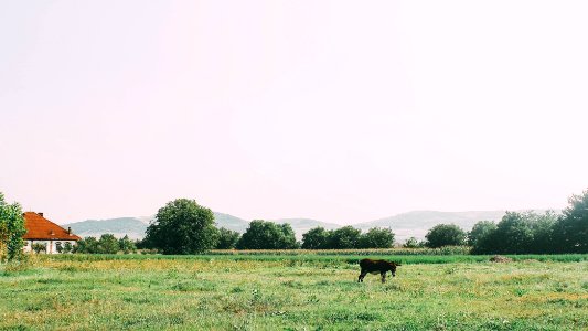 Twolittleboxes, Eduard militaru, Panoramic