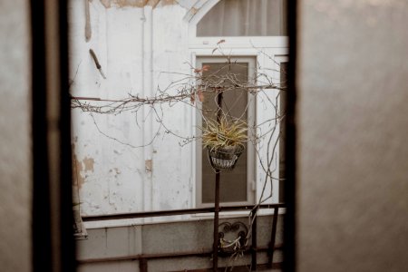 Bucharest, Romania, Scape