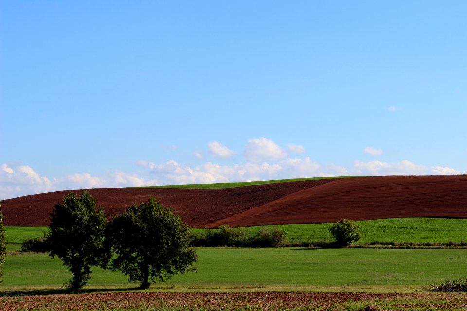 Camar s, France, Rougier