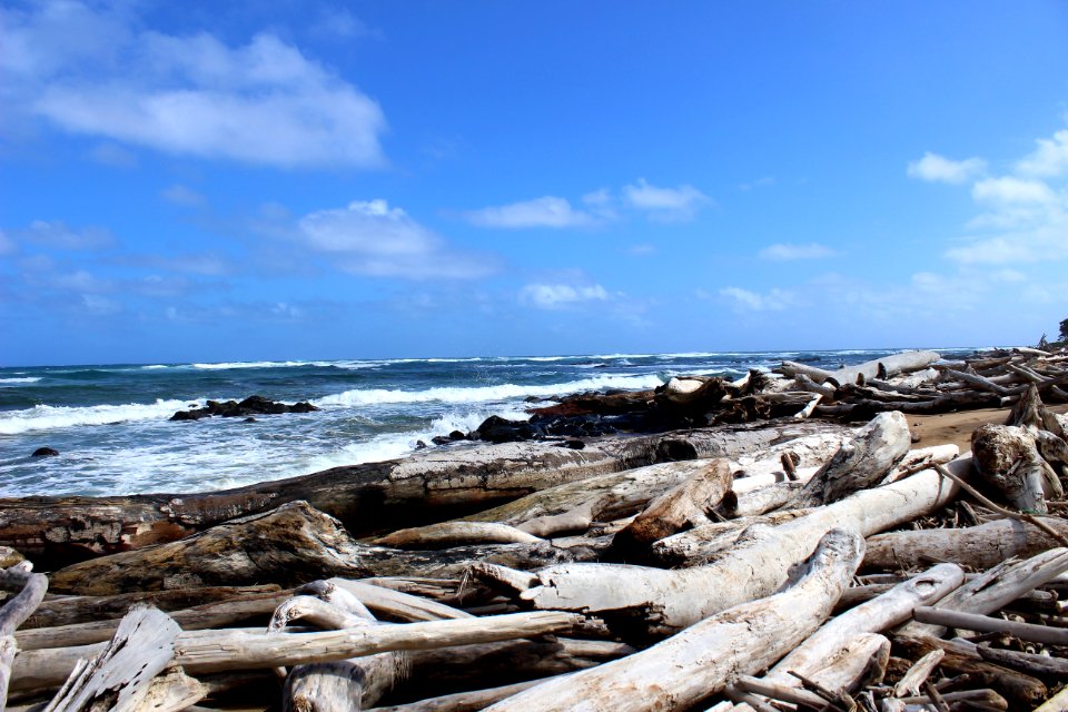 Isl,  of hawai i, United states