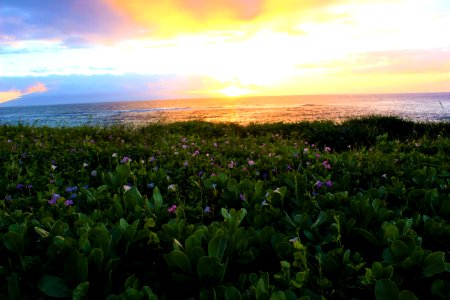 O ahu, United states, Sunset photo