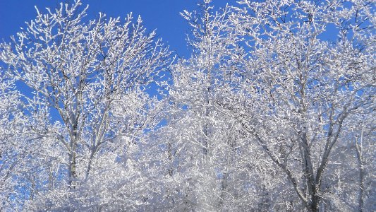 Shen, Oah national park, United states