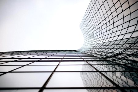 architectural photograph of building curtain wall