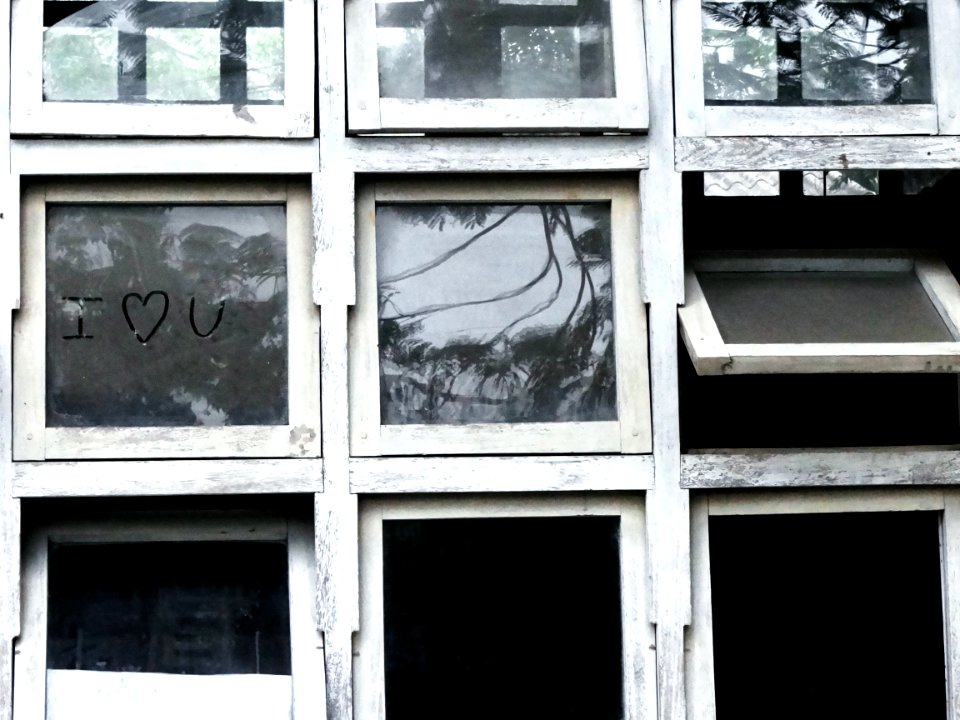 Love, Windows, Window