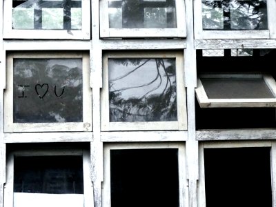 Love, Windows, Window