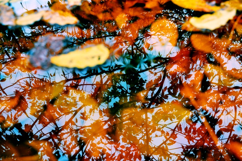 Veneto, Italy, Autumnal