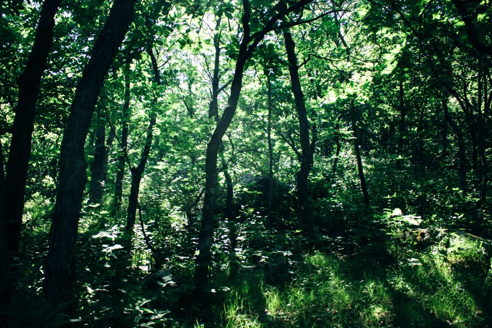 Devils lake, United states, Erlust