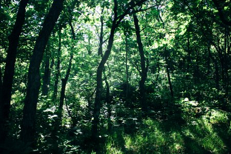 Devils lake, United states, Erlust