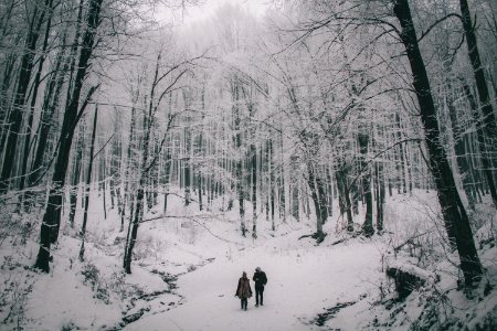 two person walking on snow photo