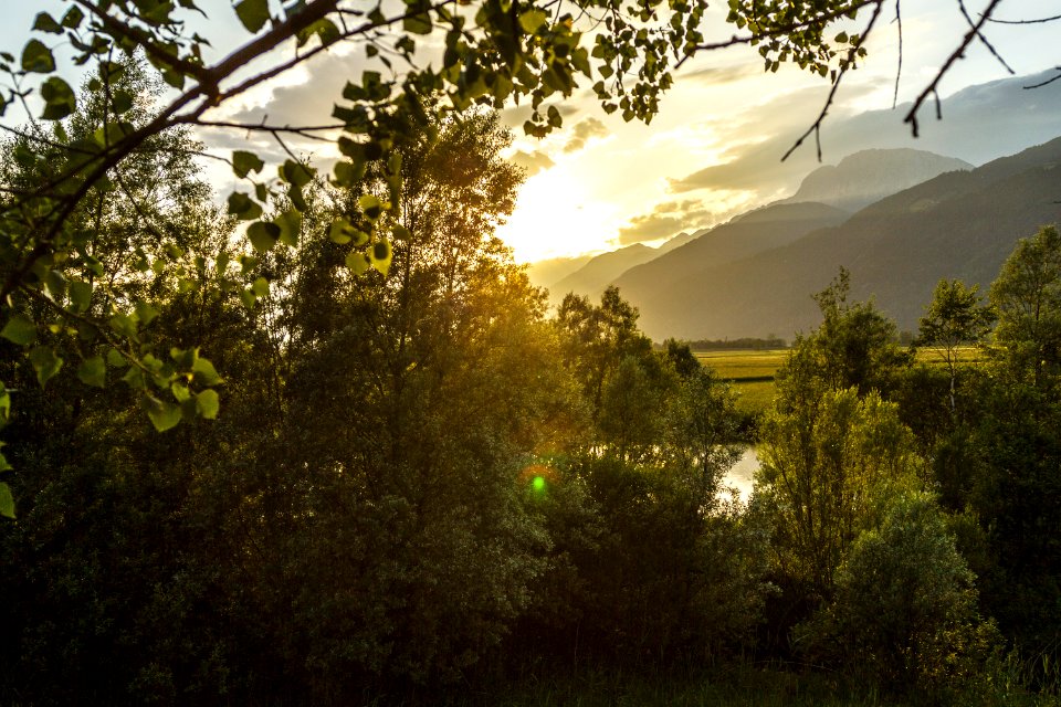 Green, Sun, Scape