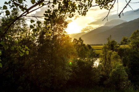 Green, Sun, Scape photo