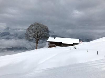 Tirol, Kirchberg, Sterreich photo