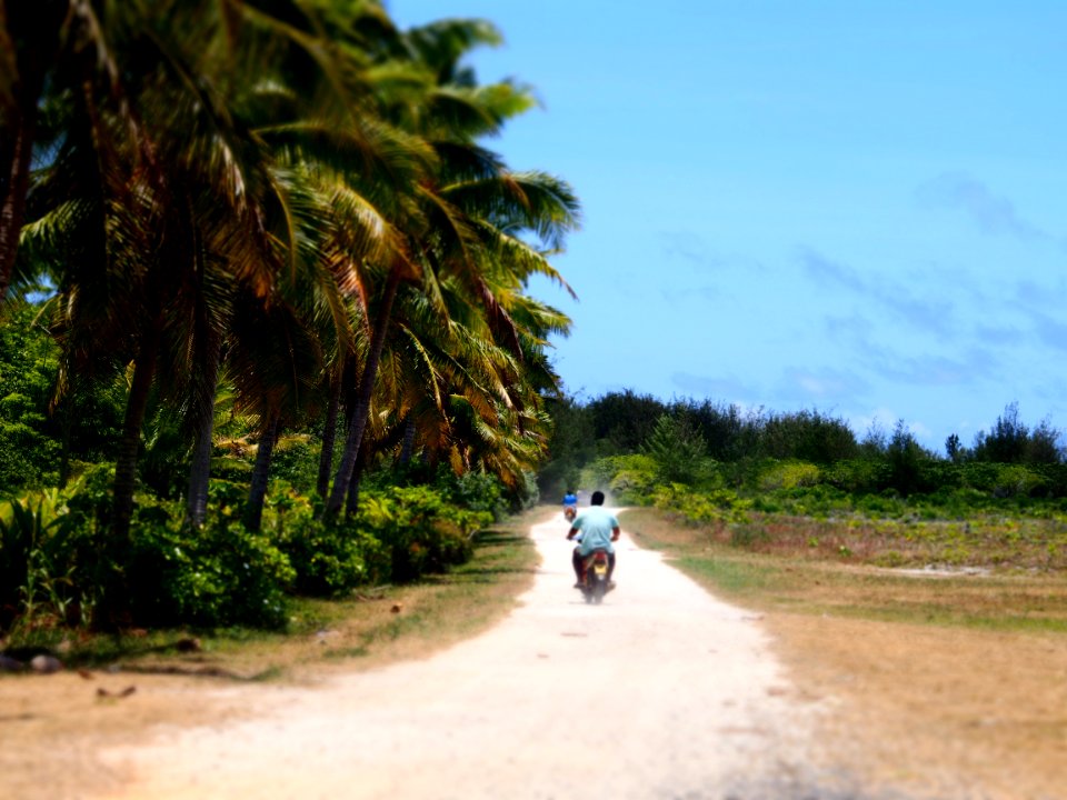 Cook isl, Aitutaki, Tropical