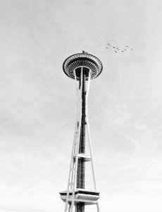 Seattle, Space needle loop, United states