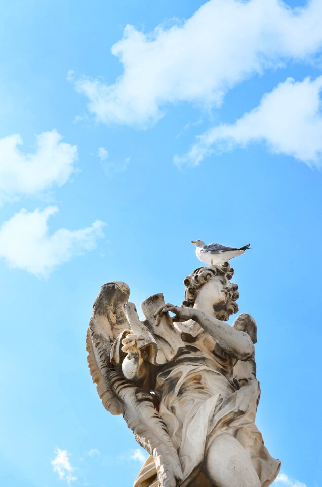 Rome seagulls sky
