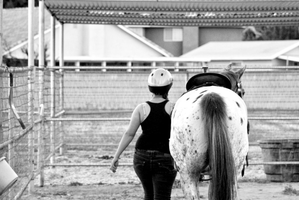 Beautiful, Horse, Cowgirl