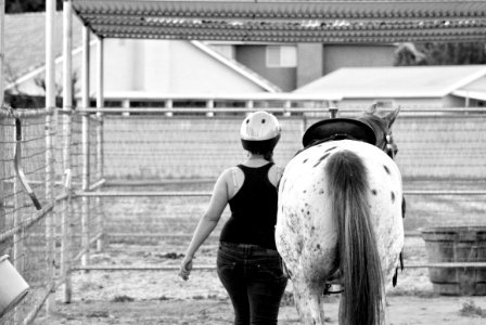 Beautiful, Horse, Cowgirl
