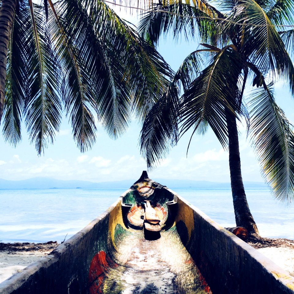 gray canoe in front of ocean
