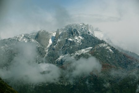 high mountain covered with trees photo