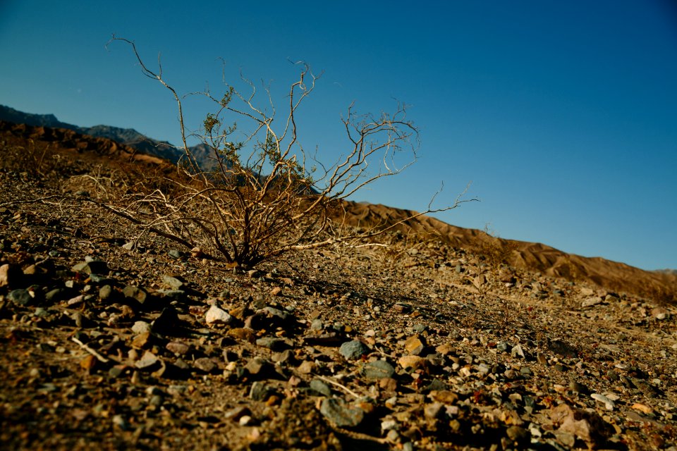 Death valley national park, Furnace creek, United states