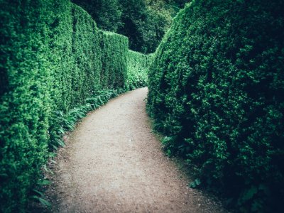 National trust powis castle, Garden, Welshpool photo