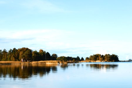 Tree, Warm, Water