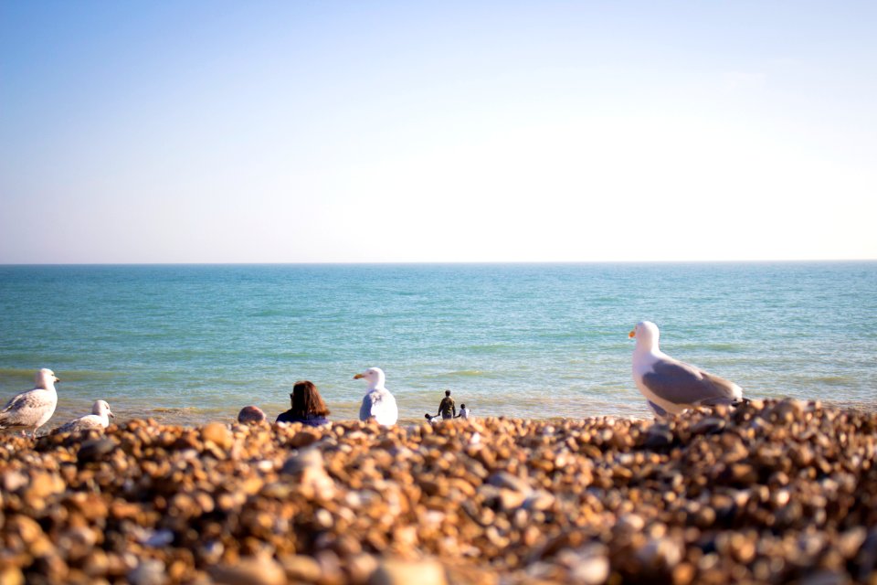 Brighton, United kingdom, Fun