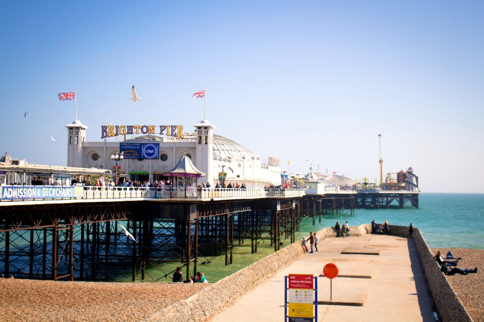 Brighton, United kingdom, Seagull