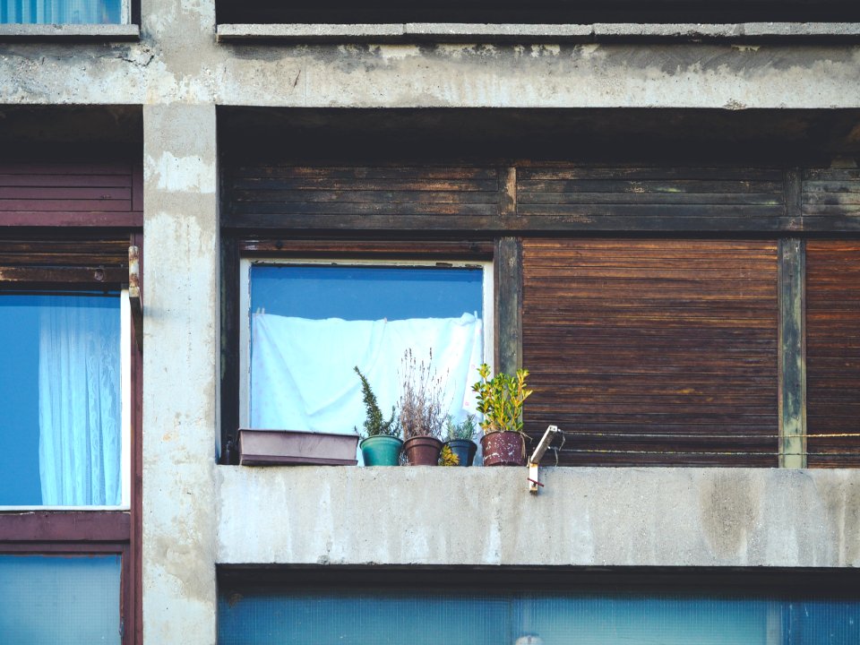 Flowers, Building, Balcony