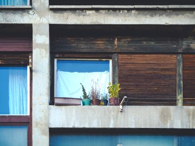 Flowers, Building, Balcony