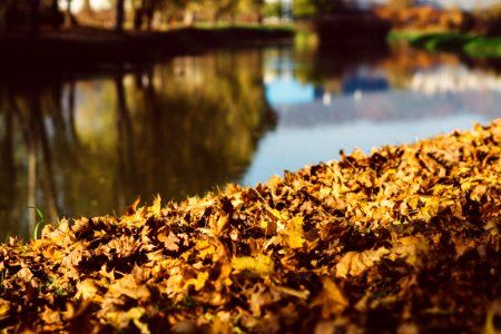 Zagreb, Croatia, Autumn